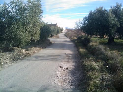 La Junta ha abonado más de 5,8 millones en ayudas para la mejora de estructuras agrarias entre enero y agosto de 2013