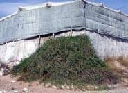 La Junta reconoce el esfuerzo del sector hortícola para mejorar la higiene rural en los alrededores de los invernaderos