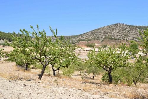 Arias Cañete excluye a los agricultores del proceso negociador de la nueva PAC