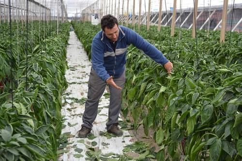 El Gobierno modifica el Código Penal para endurecer las penas por los hurtos cometidos en el campo y los incendios forestales