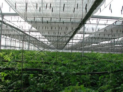 Europa se enfrenta al reto de conseguir una agricultura más productiva, eficiente y sostenible