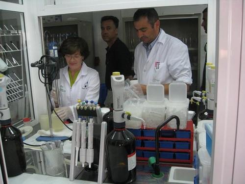 La Junta celebra una jornada técnica sobre los problemas de los nematodos en cultivos de invernadero