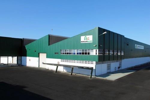La subasta de Agrupaejido El Viso abre sus puertas este martes