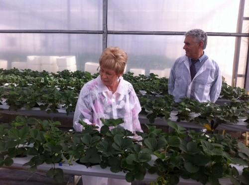 Víboras destaca la innovación y transferencia tecnológica como instrumentos de crecimiento del sector de frutas y hortalizas