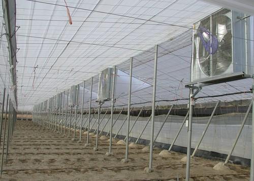 Aprobados 35 millones de euros más para la contratación de seguros agrarios