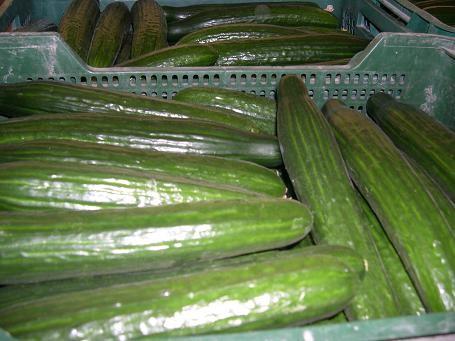 El Sistema de Alerta Rápida de Alimentos notifica el bloqueo de una partida de pepino macedonio con casi el triple más de clorpirifós del permitido
