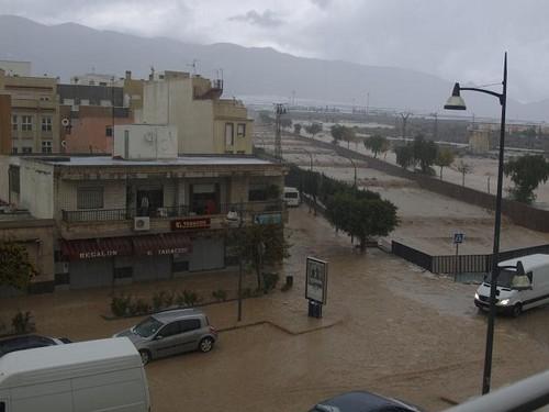 UPA-Almería estima en 12 millones de euros las pérdidas en el sector agrario de El Ejido tras la tromba de agua y granizo del jueves