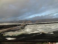 ASAJA lamenta que una media de cuatro de cada diez invernaderos del Polígono de La Redonda y Santa María del Águila, en El Ejido, están en el suelo por el granizo