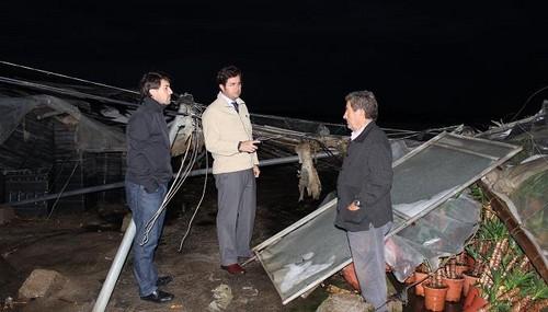 El Ayuntamiento de El Ejido habilita una oficina para la declaración de daños y solicitará ayudas  tras los graves perjuicios ocasionados por la tormenta de lluvia y granizo en 300 hectáreas agrícolas
