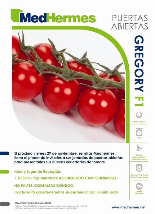 Semillas MedHermes organiza este viernes unas jornadas de puertas para presentar sus novedades en tomate