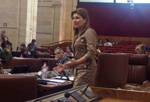El Partido Popular pide a Víboras “apoyo económico urgente” para los agricultores afectados por el granizo en El Ejido
