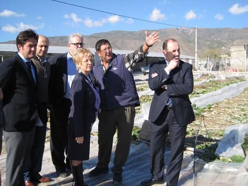 La Junta ultima una línea de ayudas para los agricultores afectados por el temporal de lluvia y granizo en Almería