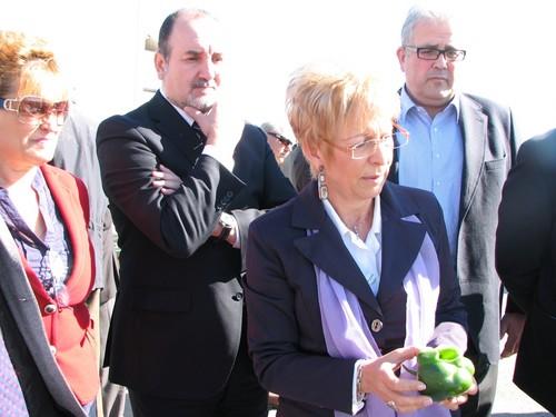 El PSOE critica que el alcalde de El Ejido esté más pendiente de confrontar con la Junta que de ayudar a los agricultores