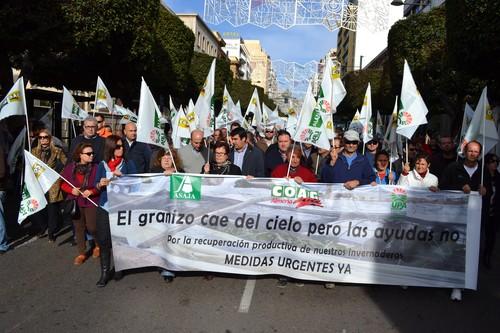 Un centenar de agricultores afectados por el granizo exige medidas “ágiles” para “recuperar su capacidad productiva”