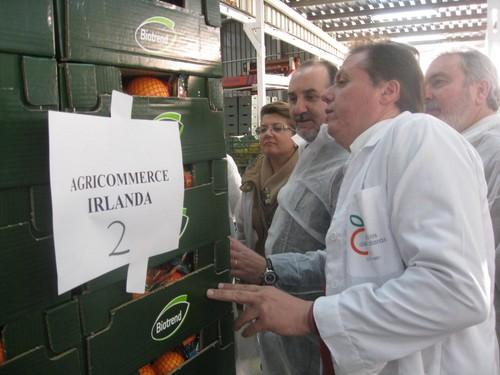 Almería incrementa un 11% el valor de las exportaciones de cítricos entre enero y septiembre