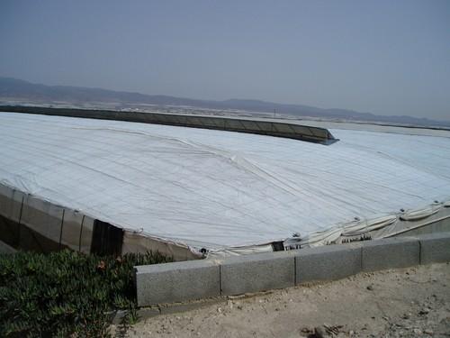 El Ayuntamiento de Níjar anuncia que una importante empresa agrícola prevé construir 37 hectáreas de invernadero en el municipio