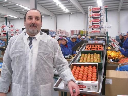 El valor de las exportaciones de verduras frescas de Almería hasta octubre creció un 12% y el de las frutas un 34%