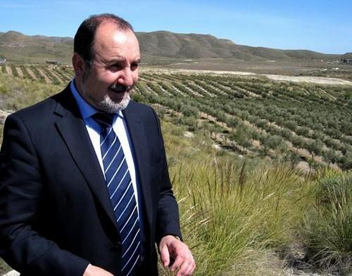 El valor de las exportaciones de aceite de oliva de Almería se incrementa un 157% entre enero y octubre