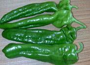 El año 2014 comienza con una subida en los precios del calabacín y de los pimientos