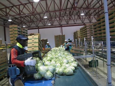 La Junta entrega una subvención de 134.500 euros a la SAT Cuevas Bío, para mejorar sus equipos
