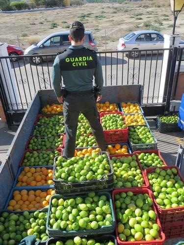 La Guardia Civil detiene al autor de una sustracción en una explotación agrícola de la comarca del Poniente