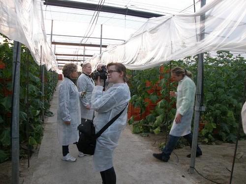 Una delegación alemana comprueba la excelente calidad de las frutas y hortalizas almerienses in situ