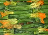 Calabacines y pepinos bajan de precio en comparación con la pasada semana