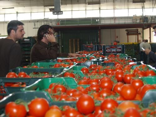 La industria agroalimentaria señala que la recuperación no puede verse frenada por nuevas subidas de impuestos