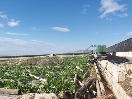 Las organizaciones agrarias lamentan la lentitud del Gobierno para aprobar medidas de apoyo a los afectados por el granizo