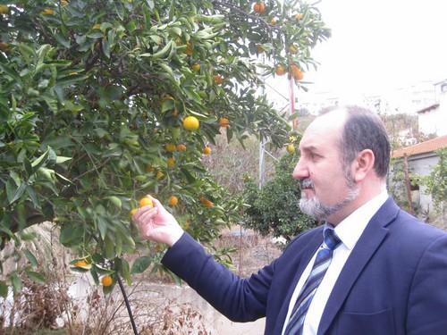 El 20% de las mandarinas que exporta Almería se envía a los mercados de Polonia, Rusia y Ucrania
