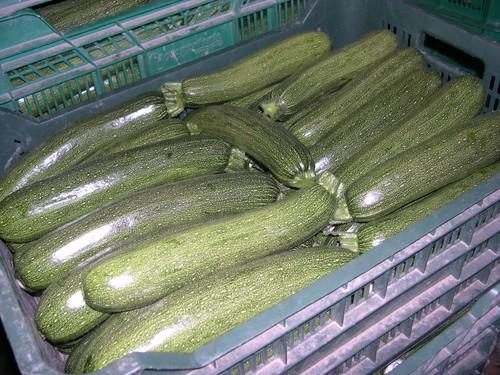 Tomate, calabacín y berenjena pierden valor en los últimos siete días