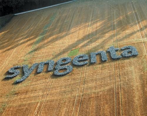 Fusión de entidades en Syngenta España, S.A.