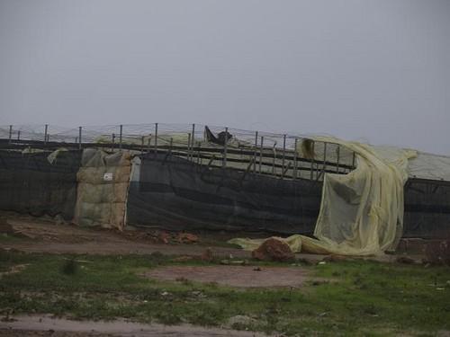 La Agencia Estatal de Meteorología decreta la alerta naranja por viento en la capital y el Poniente almeriense