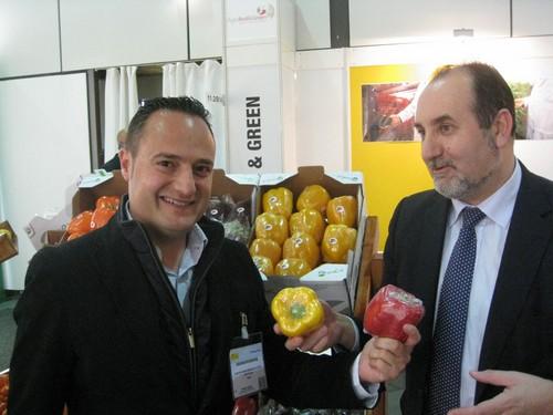 El valor de las exportaciones de frutas y verduras frescas de Almería crece un 11,5% hasta noviembre de 2013