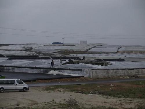La AEMET decreta la alerta amarilla por vientos de hasta 75 kilómetros por hora el sábado y el domingo en buena parte de la provincia