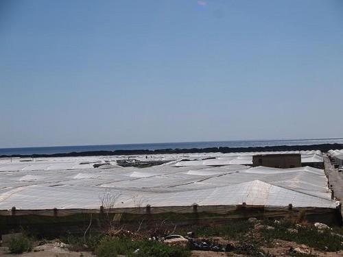 La Aemet mantiene la alerta naranja por viento en toda la provincia hasta las tres de la tarde