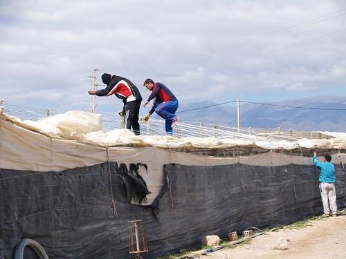 El viento no da tregua en la provincia y la AEMET decreta la alerta amarilla de seis de la tarde a nueve de la mañana