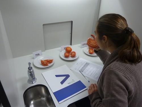 TECNOVA promueve la profesionalización de expertos en tomate a través de su laboratorio de análisis sensorial