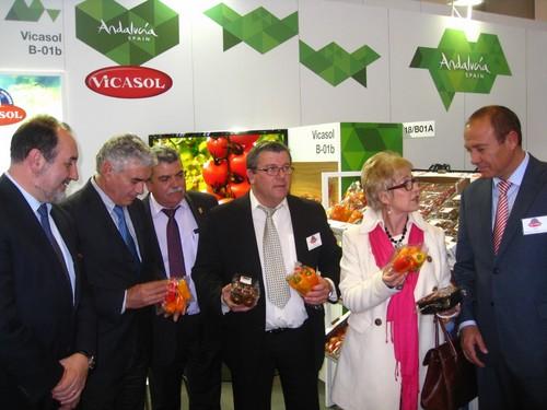 Nueve empresas hortotofrutícolas de Almería exportan entre 50 y 100 millones de euros, el 22% de toda España