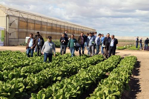 Syngenta Leafy Dynamics analiza las tendencias de consumo de las hortalizas de hoja y las nuevas variedades de la compañía