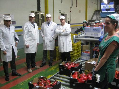 La lucha integrada contribuye a mitigar los daños del Nueva Delhi en melón