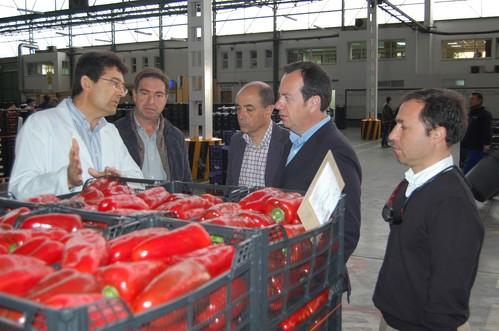 Agroponiente ha recibido este miércoles la visita del director general de Producción Agrícola de la Junta de Andalucía, Rafael Olvera