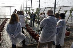 Ifapa trabajará junto a los Grupos de Desarrollo Rural en acciones de transferencia y formación