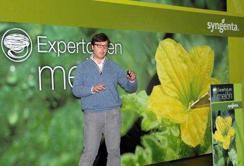 Syngenta presenta su nueva variedad de melón piel de sapo MP3542, que destaca por su sanidad, su alta producción comercial y sabor duradero