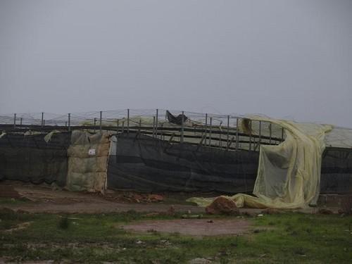 La AEMET decreta la alerta amarilla por viento en toda la provincia, salvo en el Levante