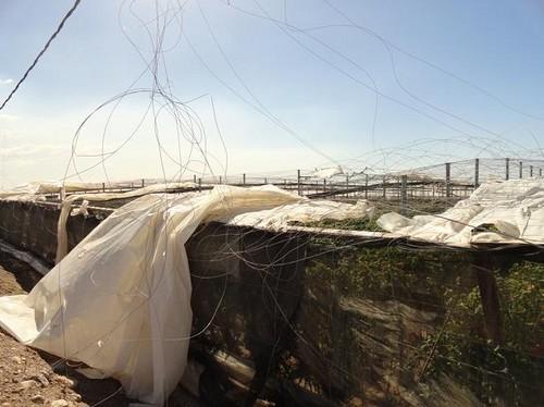 Alrededor de 15 invernaderos de la zona de La Mojonera se han visto dañados por el fuerte viento