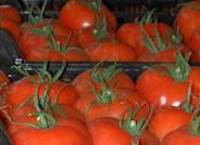 Los mercados prioritarios de destino, a estudio en La tercera reunión del Grupo de Trabajo de Frutas y Hortalizas