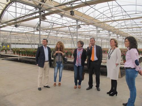 La Junta se interesa por las necesidades del sector de los semilleros