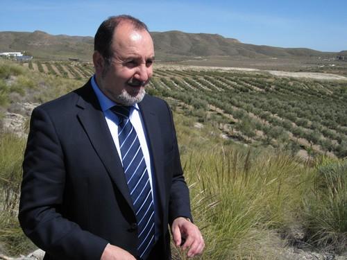 Almería casi duplicó el valor de sus exportaciones de aceite en 2013