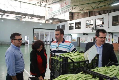 Agro San Isidro comercializa unos 40 millones de kilos anuales